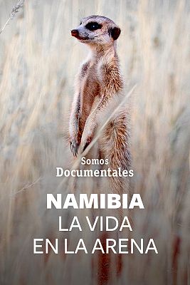Somos Documentales - Namibia la vida en la arena