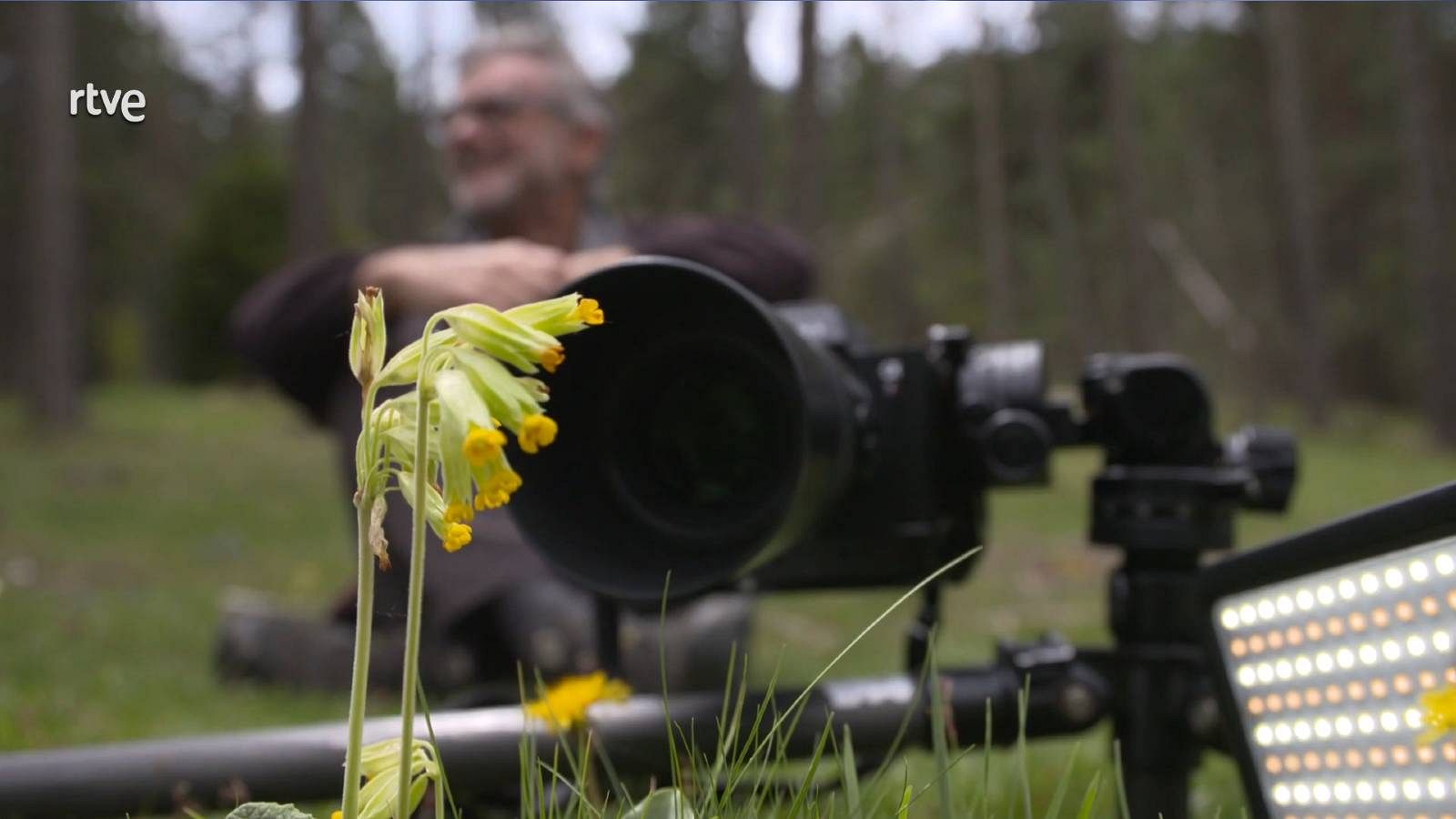 Aprendre a fotografiar flors amb Francesc Muntada | Va de Verd