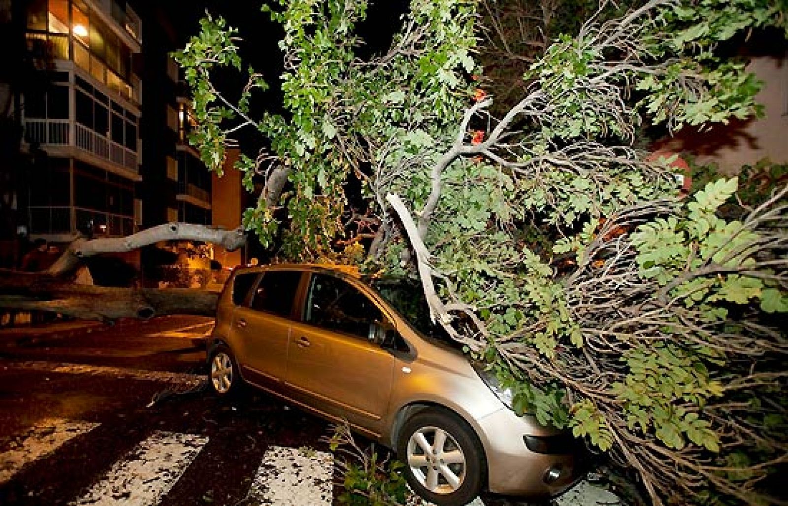 El Tiempo - 18/02/10 - El tiempo | Ver