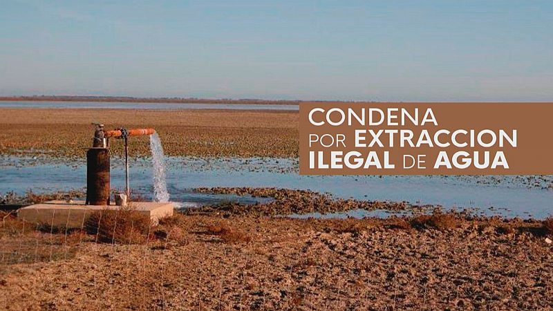 Cárcel por extraer agua de Doñana - Ver ahora