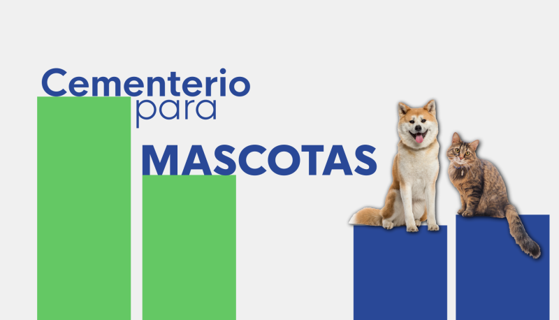 Primer cementerio público de mascotas - Ver ahora