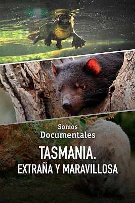 Somos Documentales - Tasmania. Extraña y maravillosa