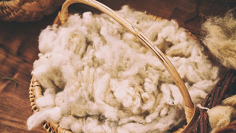 La lana española se acumula en las granjas por desuso: ¿hay alternativas a la industria textil?