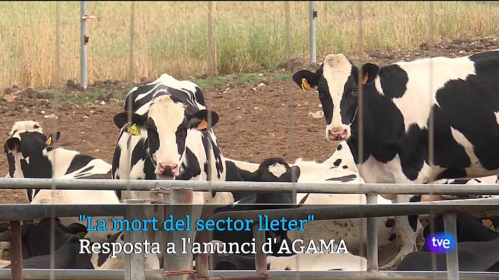 Informatiu Balear - Informatiu Balear en 2' - 22/09/23