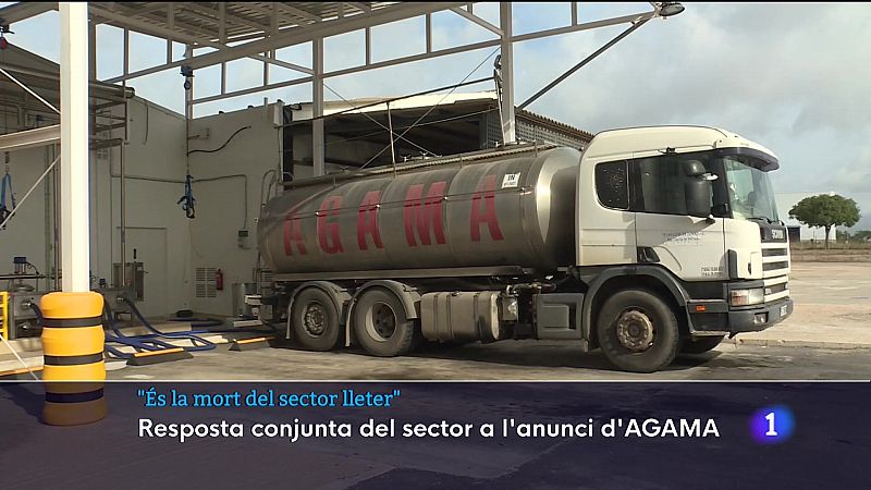 La mort del sector lleter - Veure ara