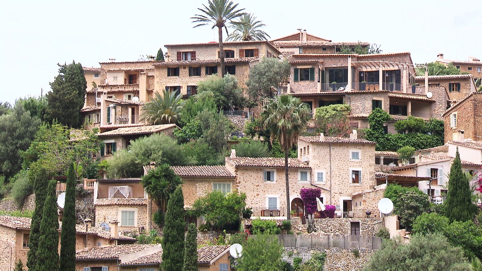 El escarabajo verde - Sed de turismo - ver ahora