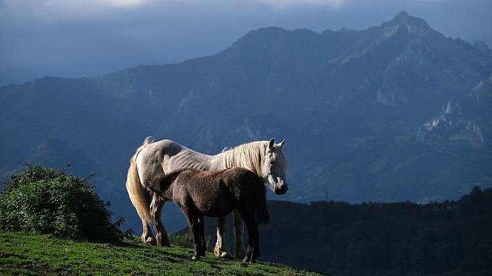 El tiempo - Tiempo estable y cielos despejados en casi toda España