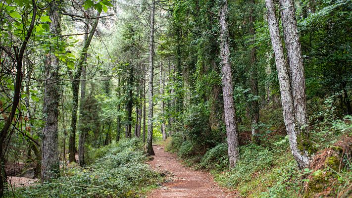 Telediario Fin de Semana - Telediario 1 en 4' - 23/09/23