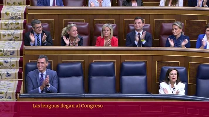 Parlamento - Las lenguas llegan al Congreso