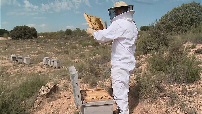 Aquí hay trabajo - Aquí hay trabajo - 25/09/23