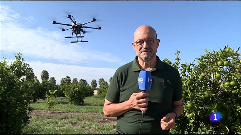 Tecnología para la detección de plagas en los campos valencianos