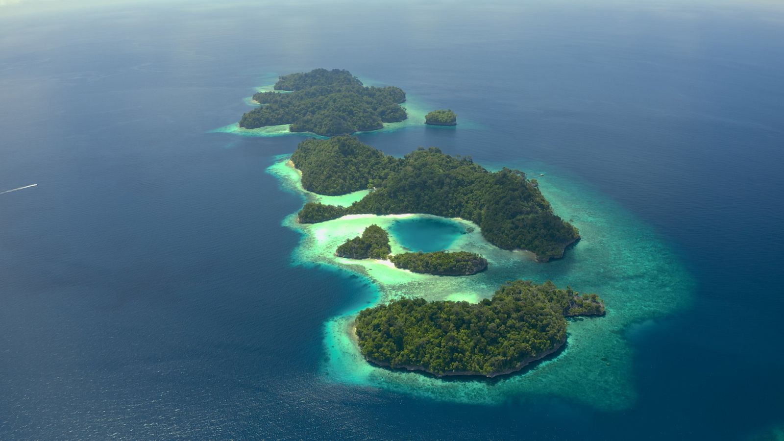 El círculo mágico del arrecife - Episodio 2: El paraíso de coral - ver ahora