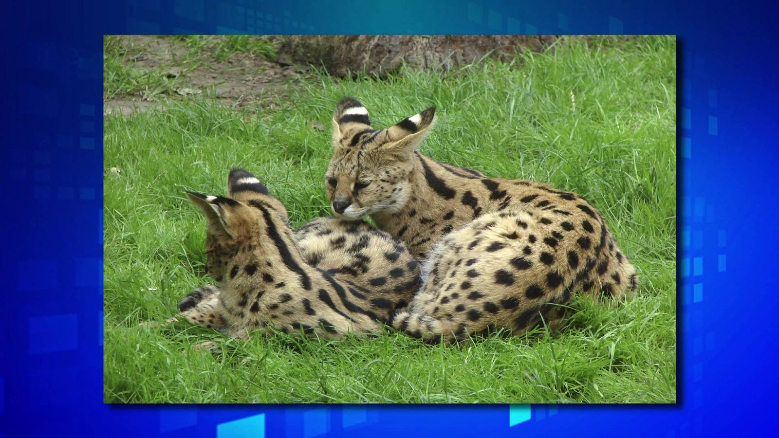 Saber y ganar - 28/09/23 - ver ahora