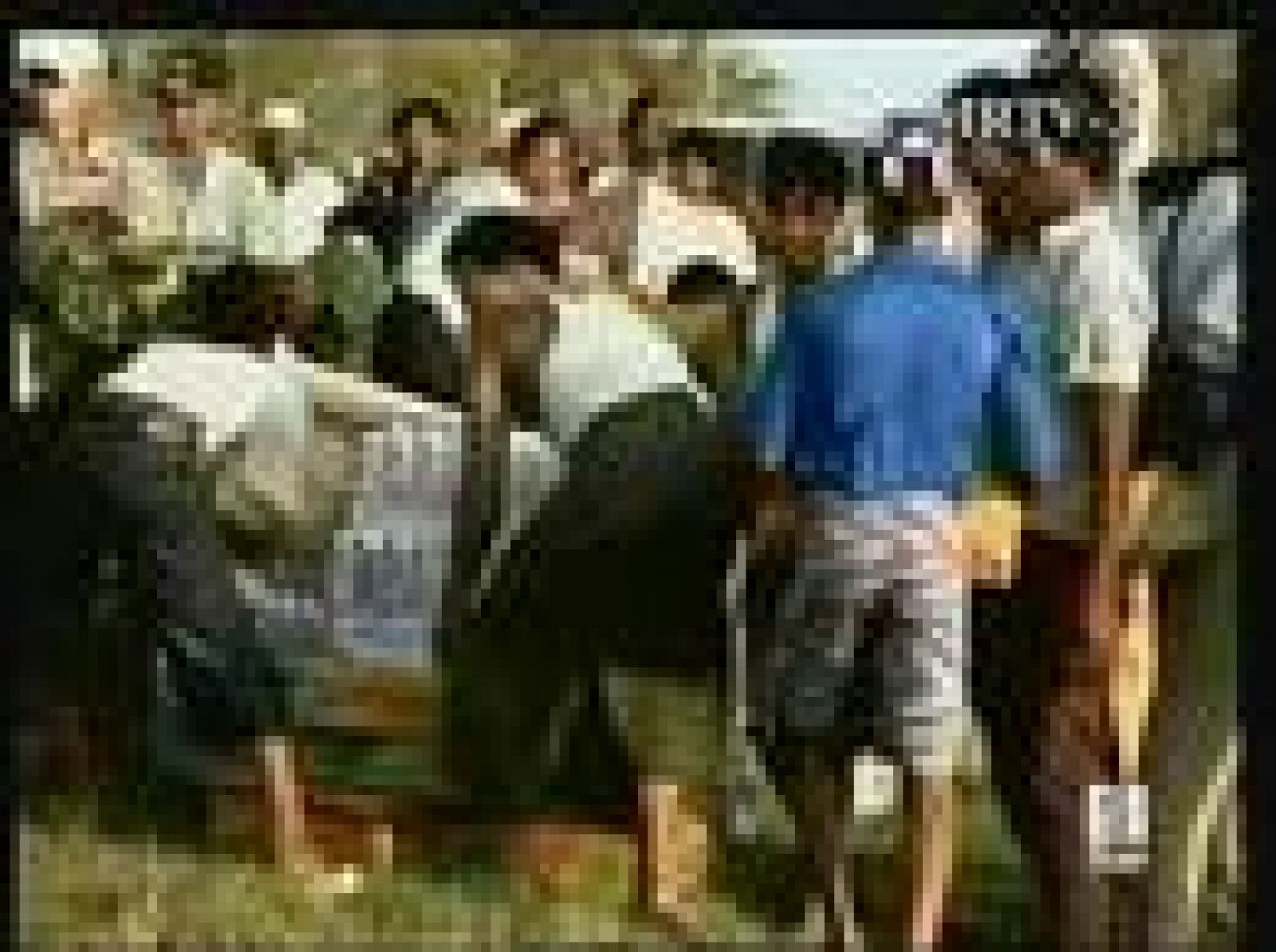 Las cifras de víctimas provocadas por el ciclón Nargis siguen siendo imprecisas | Ver