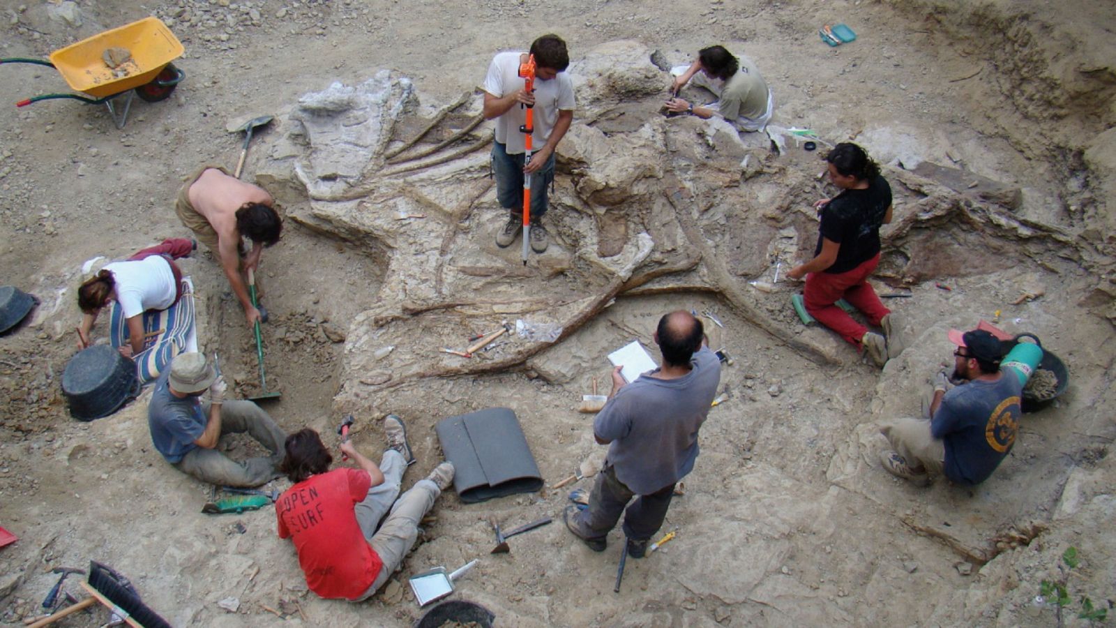 Descubren un dinosaurio gigante en la provincia de Castellón