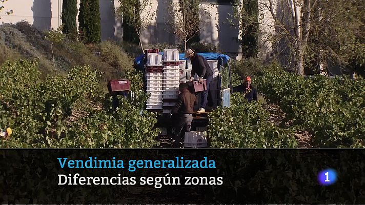 Informativo Telerioja - Telerioja en 2' - 28/09/23