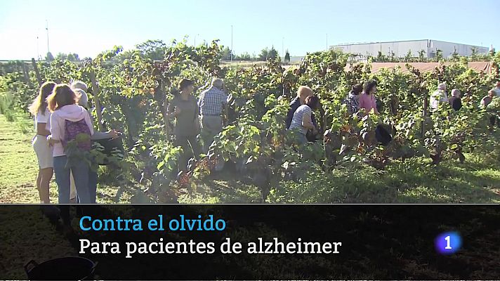 Informativo Telerioja - Telerioja en 2' - 29/09/23