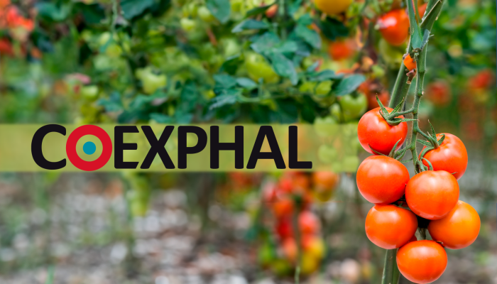 Noticias Andalucía - 46 Asamble General de Coexphal