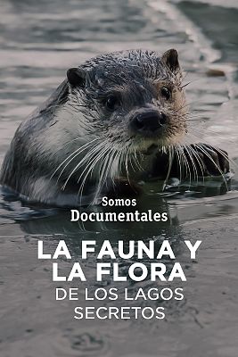 Somos documentales - La fauna y la flora de los lagos secretos