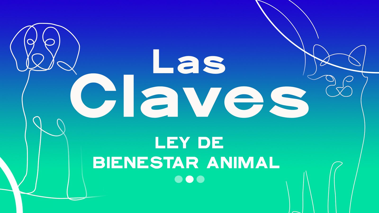 Ley Bienestar Animal: ¿En qué consiste? ¿Qué cambios conlleva en nuestro día a día? | RTVE Noticias