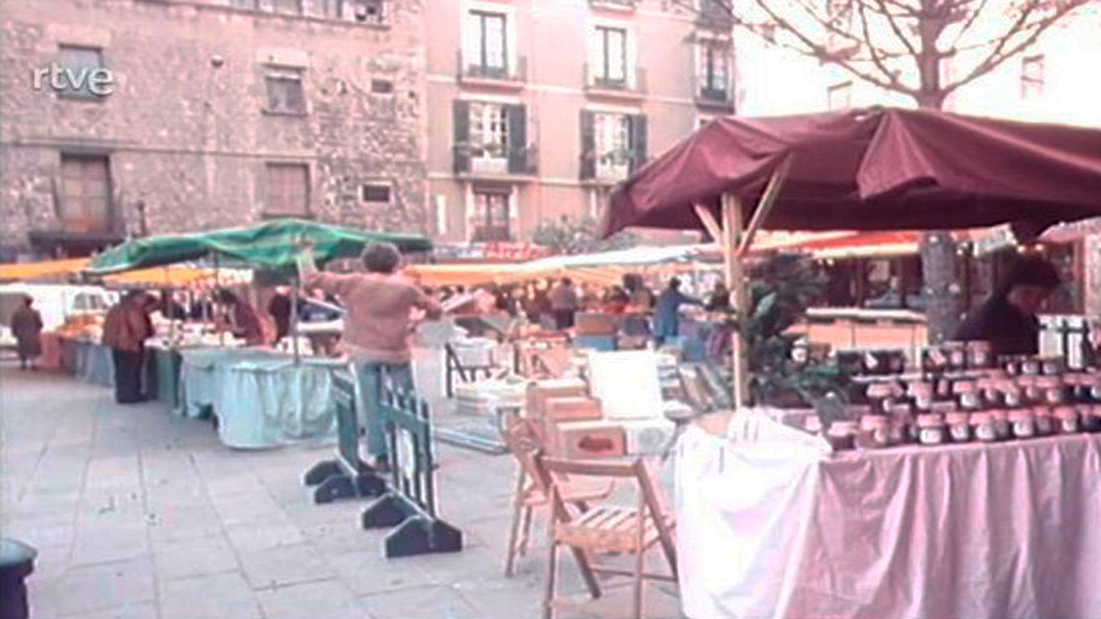 Arxiu TVE Catalunya - Temes de Catalunya - Els altres pagesos