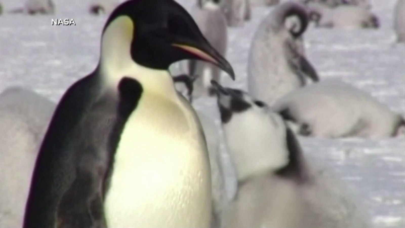 Aquí la Tierra - 02/10/23 - ver ahora