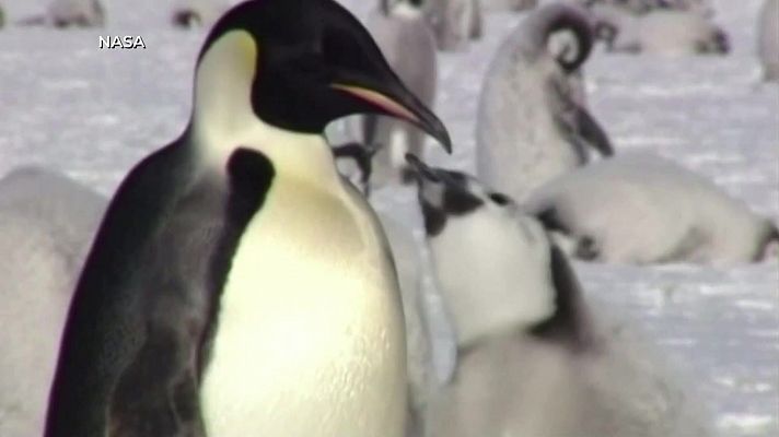 Aquí la Tierra - Aquí la Tierra - 02/10/23