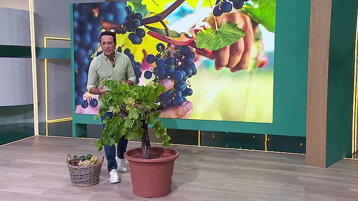 Aquí la Tierra - Aquí la Tierra - 03/10/23