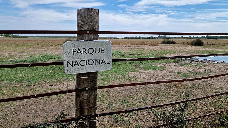 La Junta de Andalucía celebra el diálogo sobre Doñana