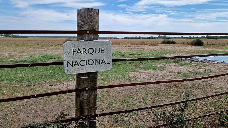 La Junta de Andalucía celebra el diálogo sobre Doñana  