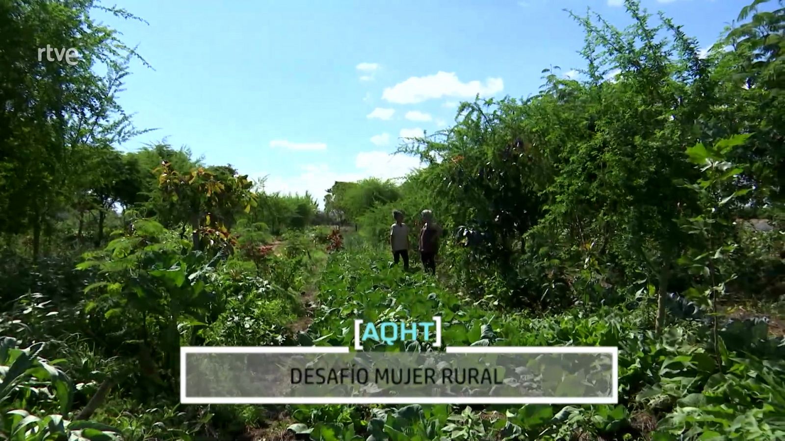 AQUÍ HAY TRABAJO - Desafío Mujer Rural para el empleo en los pueblos - ver ahora