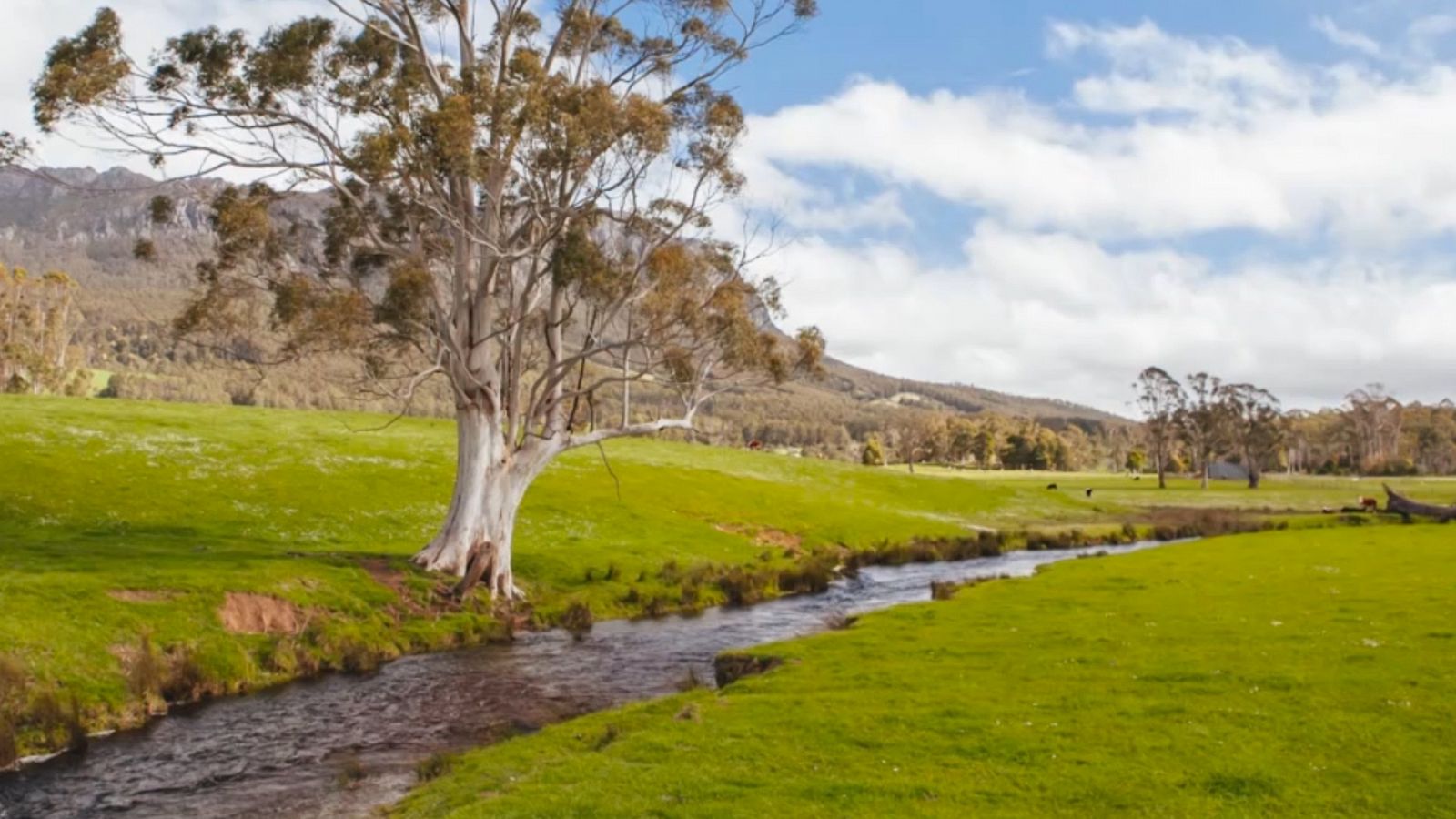 Página Dos se acerca al mundo literario de esa isla desconocida que es Tasmania.