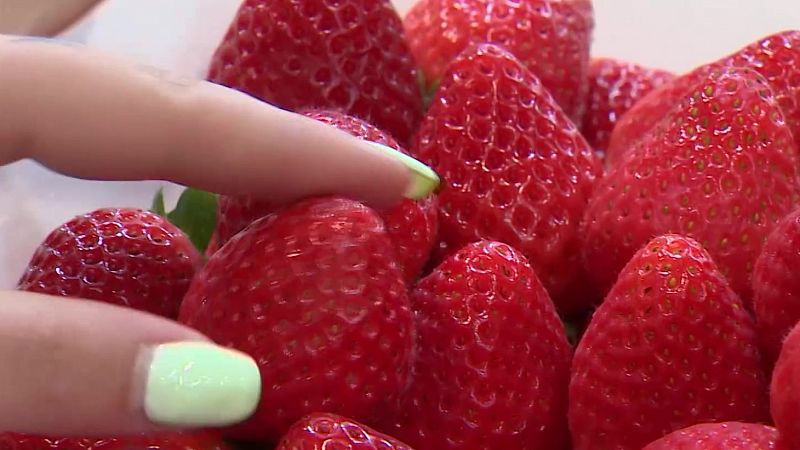 Ha comenzado en Madrid la feria 'Fruit Attraction' 2023, donde el sector tiene el foco puesto en ganar competitividad frente a otros países y el cambio climático.