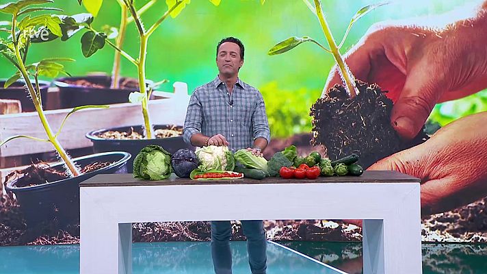 Aquí la Tierra - Aquí la Tierra - 04/10/23