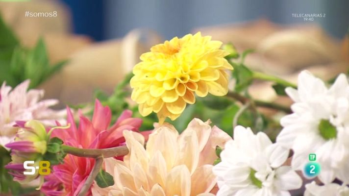 Somos 8 - Somos 8 - 04/10/2023