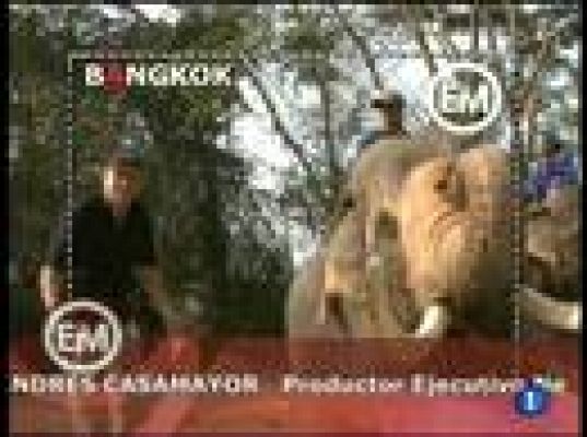 Españoles en el mundo - Bangkok - Tomas falsas