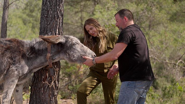 Planeta R - Rucs que ajuden a prevenir incendis