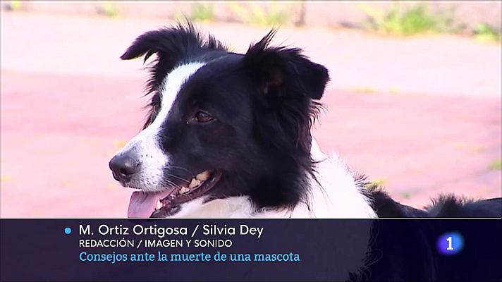 Informativo Telerioja - Telerioja en 2' - 05/10/23