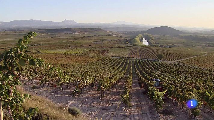 Informativo Telerioja - Telerioja en 2' - 06/10/23