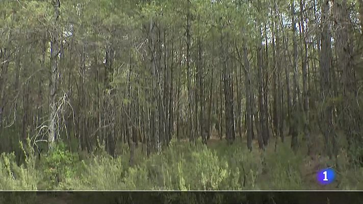 L'Informatiu - L'Informatiu 2 - 06/10/2023