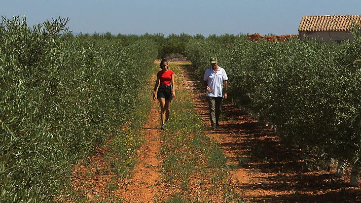 El escarabajo verde - Daimiel, convertir el agua en vino