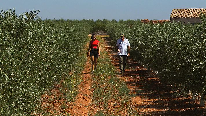 Daimiel, convertir el agua en vino