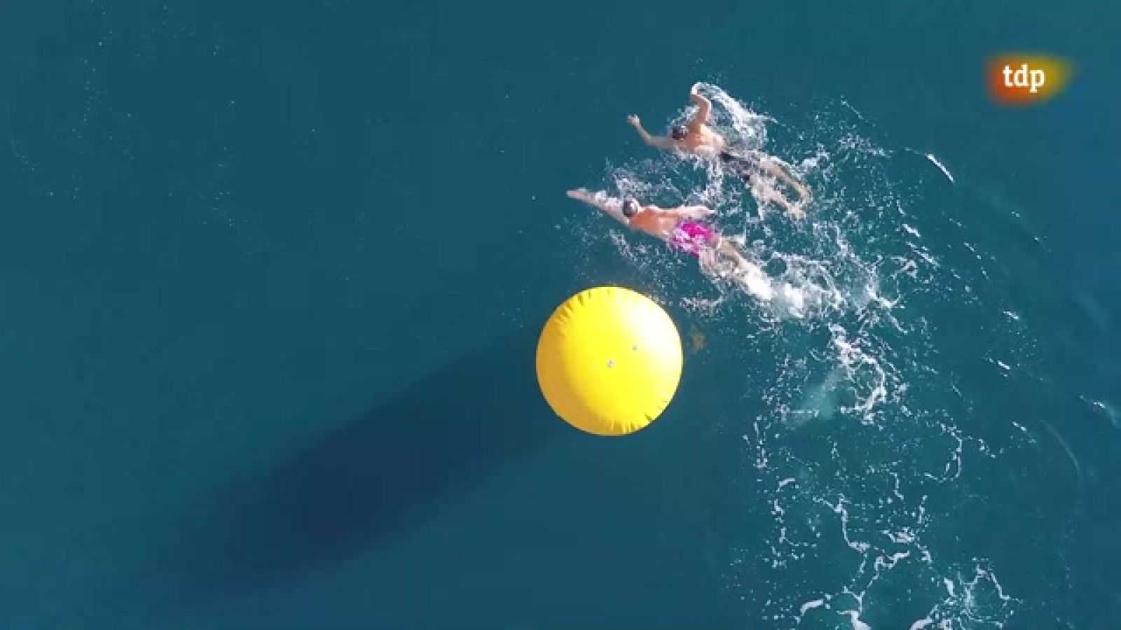 Natación - Campeonato del Mundo Militar en Aguas Abiertas - ver ahora