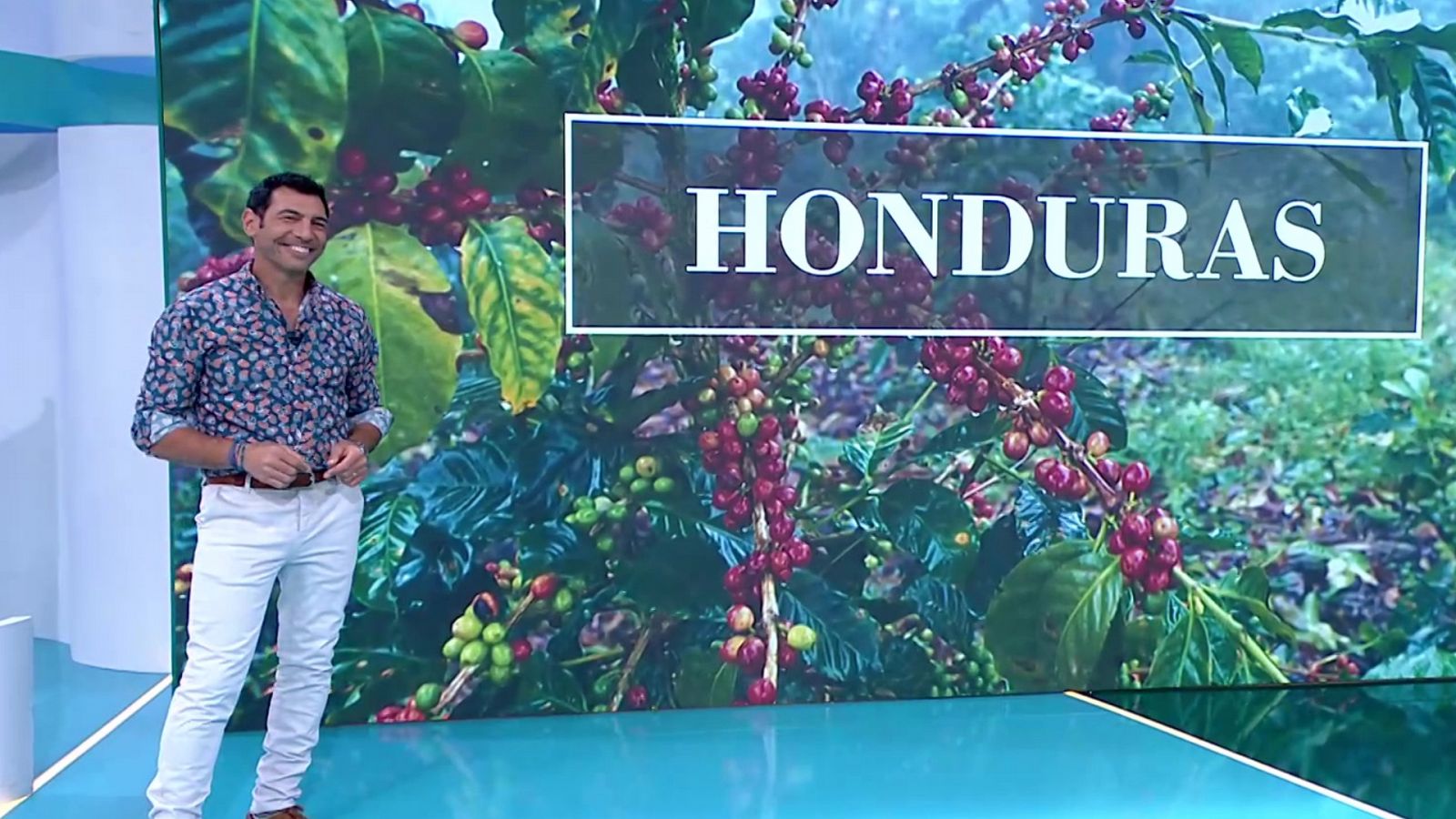 Aquí la Tierra - 08/10/23 - ver ahora