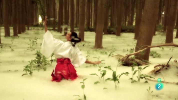 La aventura del Saber - Jugatxi. La luz del bosque