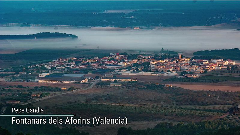 Temperaturas significativamente altas en Canarias - ver ahora