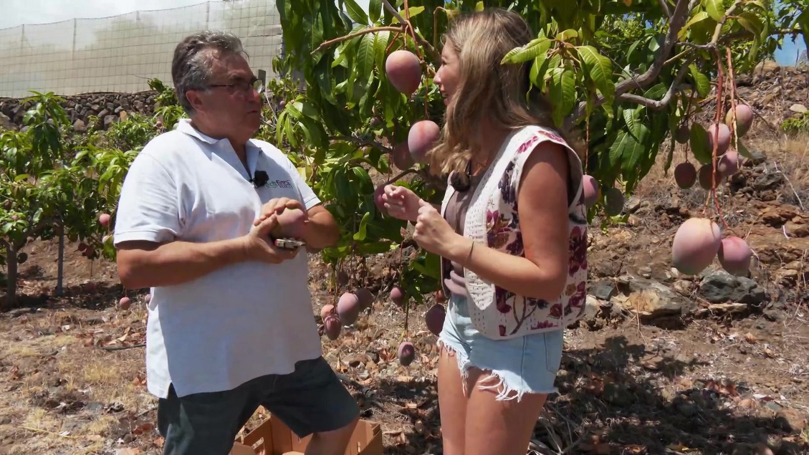 Aquí la Tierra - 09/10/23 - ver ahora