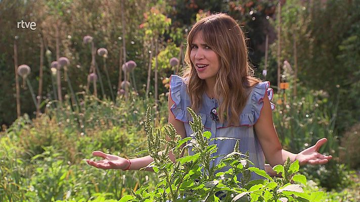 Va de verd - Males herbes