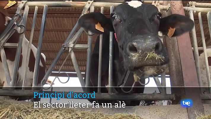 Informatiu Balear - Informatiu Balear 2 - 11/10/23