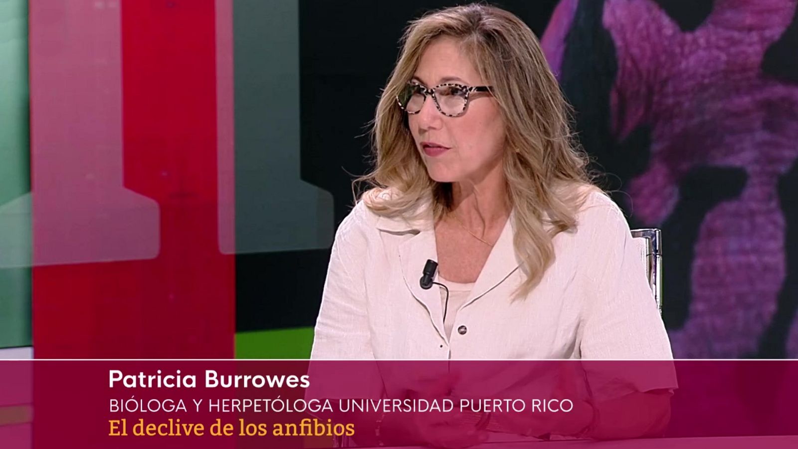 Objetivo Planeta - El declive de los anfibios - ver ahora